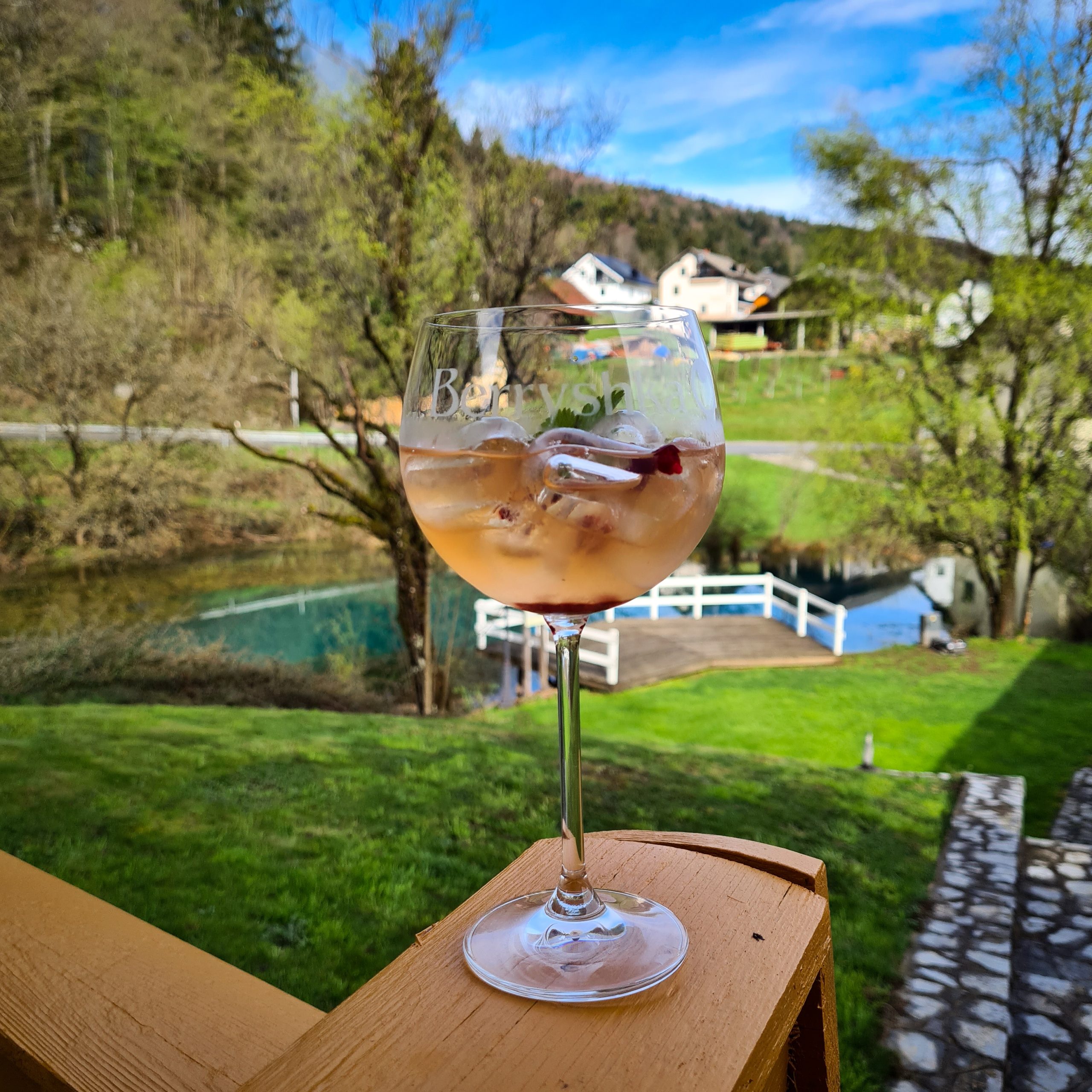 Aronia Gin Tonic 