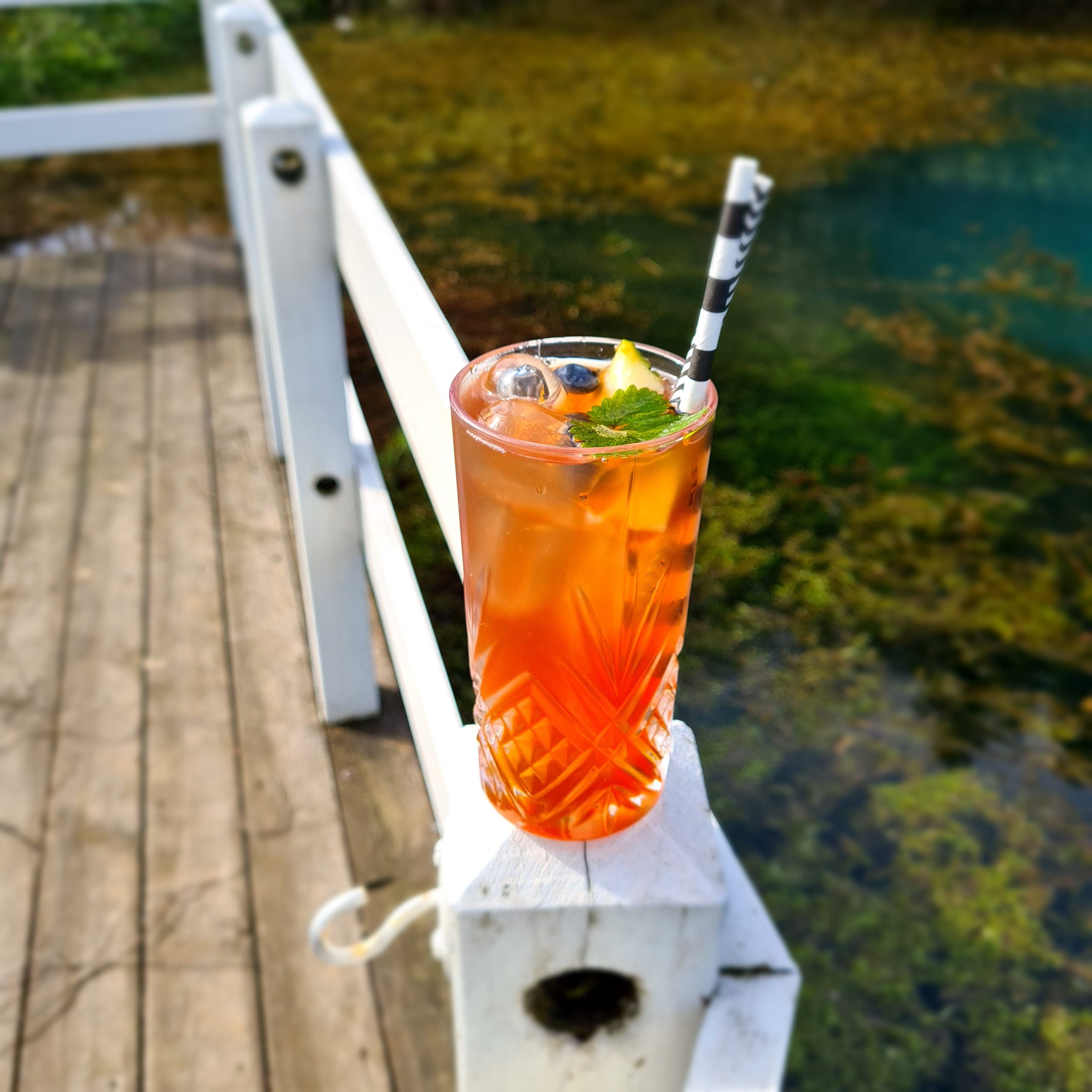 Aronia Fresh Ice Tea
