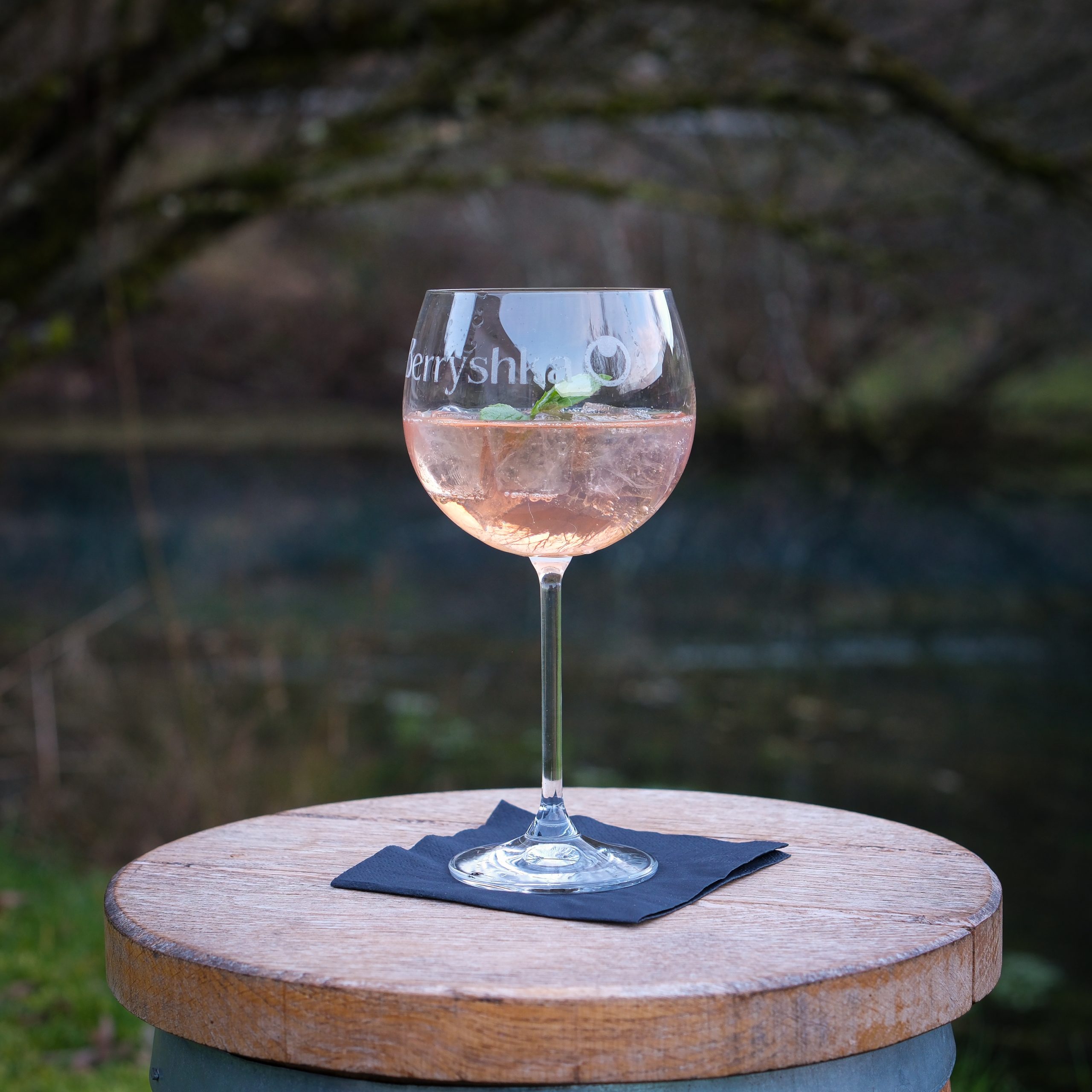 Aronia gin tonik