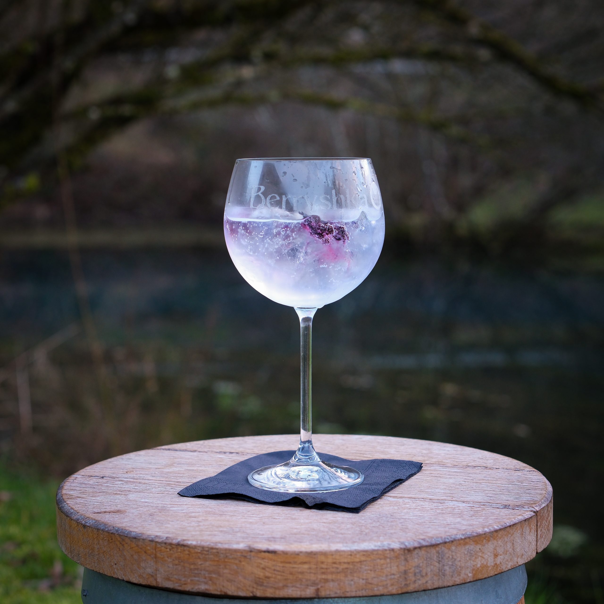 Elderflower gin tonik